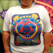 Load image into Gallery viewer, Bear Medicine